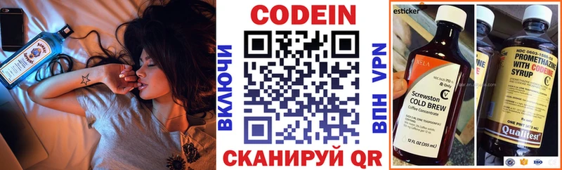Купить закладки  Карабаново  Кодеиновый сироп Lean Purple Drank 