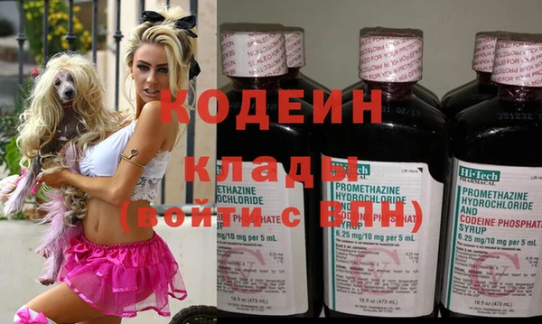 PSILOCYBIN Бородино