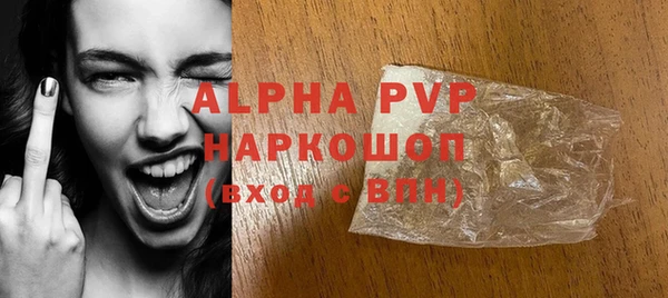 PSILOCYBIN Бородино