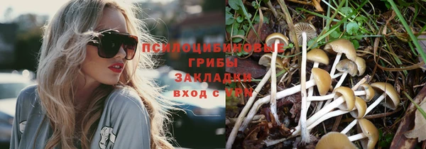 PSILOCYBIN Бронницы