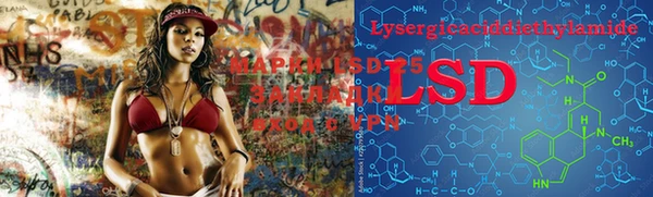 PSILOCYBIN Бородино