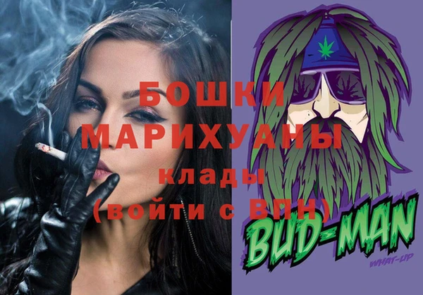 PSILOCYBIN Бронницы
