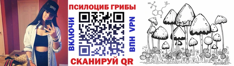 Псилоцибиновые грибы Cubensis  Купить  Карабаново 